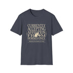 T-Shirt — "Currently Accepting Affection From Horses Only" Vintage Equestrian Tee